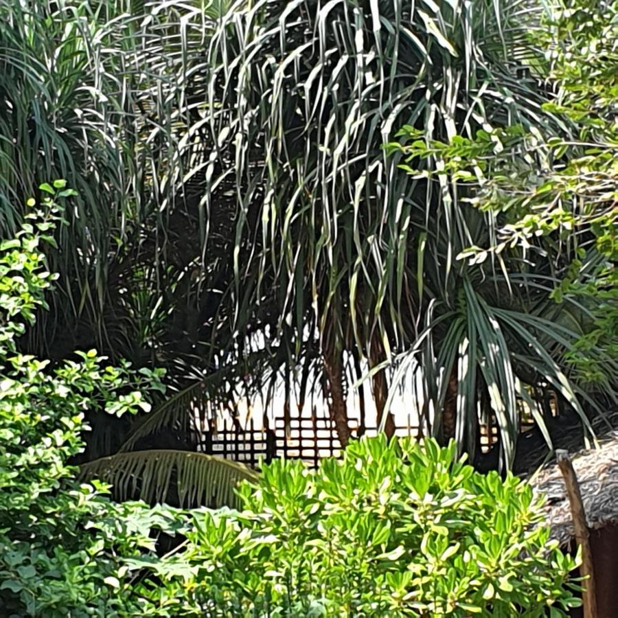 Happy Cocos Beach House Waskaduwa Exterior foto